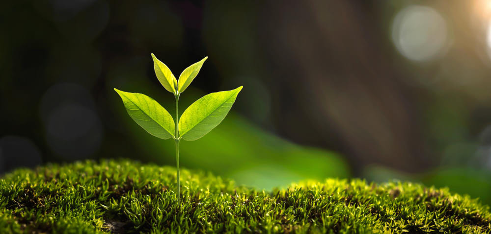 Calidad y medio ambiente